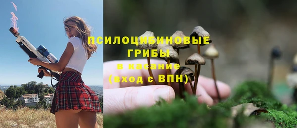 мяу мяу мука Абдулино