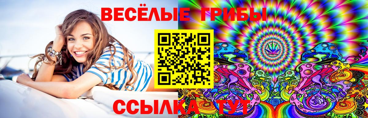 Галлюциногенные грибы Magic Shrooms Сальск