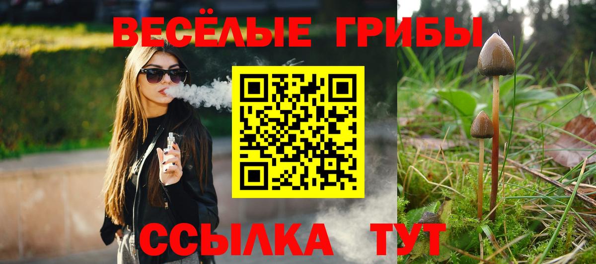 Галлюциногенные грибы Cubensis  Вход с VPN  Сальск 